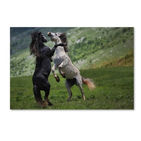 Trademark Fine Art Vedran Vidak 'Black And White' Canvas Art, 12x19 1X00169-C1219GG